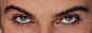 eyes1.jpg (6962 bytes)